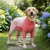 Soft Dog Four-Legged Pajamas Elastic Pet Recovery Suit Full Body Cover Dog Jumpsuit  Home Wear