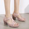 Women's Summer Metal Buckle Coarse Heel Sandals Large Round Head Business Sandals