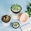 2Pcs Succulent Pot Shatterproof Breathable Plastic Hollowed Design Bonsai Pot for Home