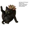 5/8-Inch Grooming Cat Planter Pot Playing Ball Cat Succulents Herb