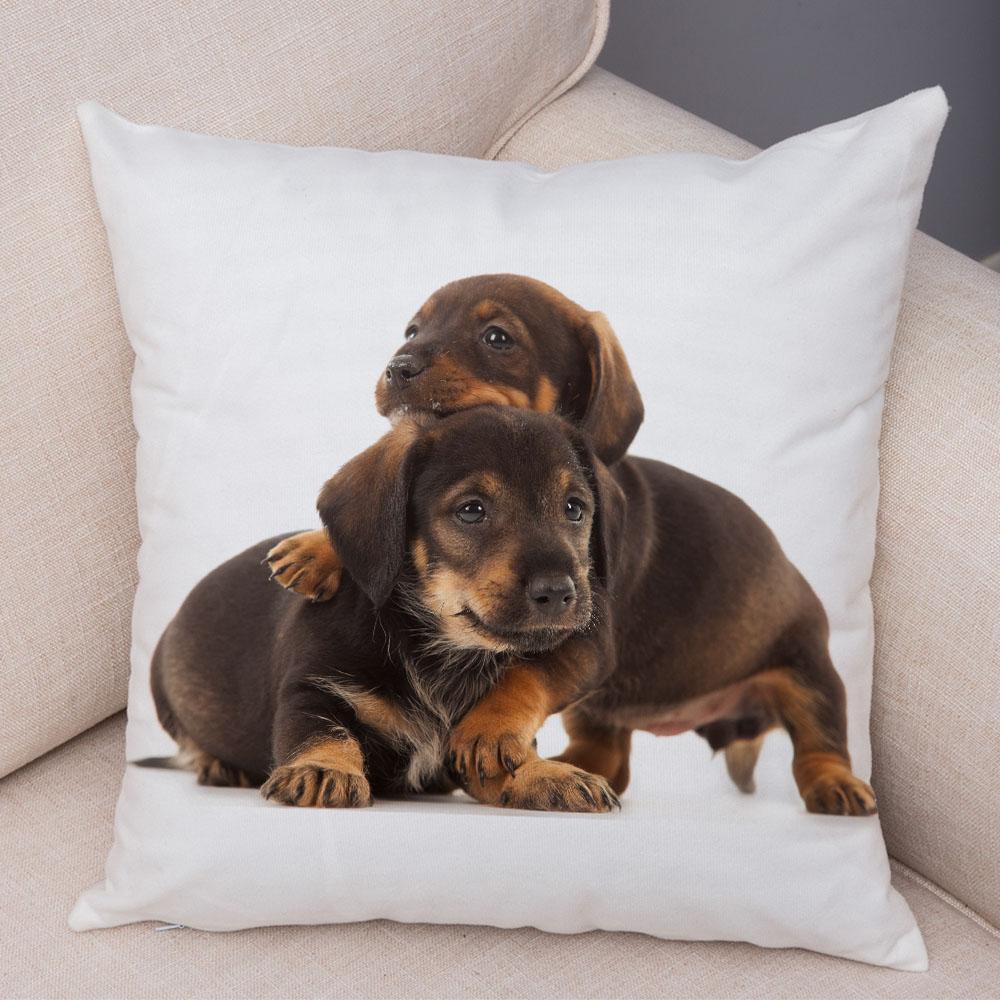 Mini Dachshund Cushion Cover Decor Pet Animal Pillowcase Sofa Home Children's Room Pillowcase