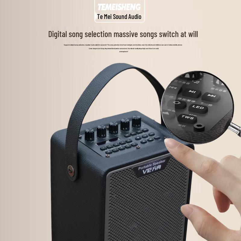 TEMEISHENG Ark V12 Portable Bluetooth Wooden Speaker with Microphone CN plug (adapter included) (CN version)