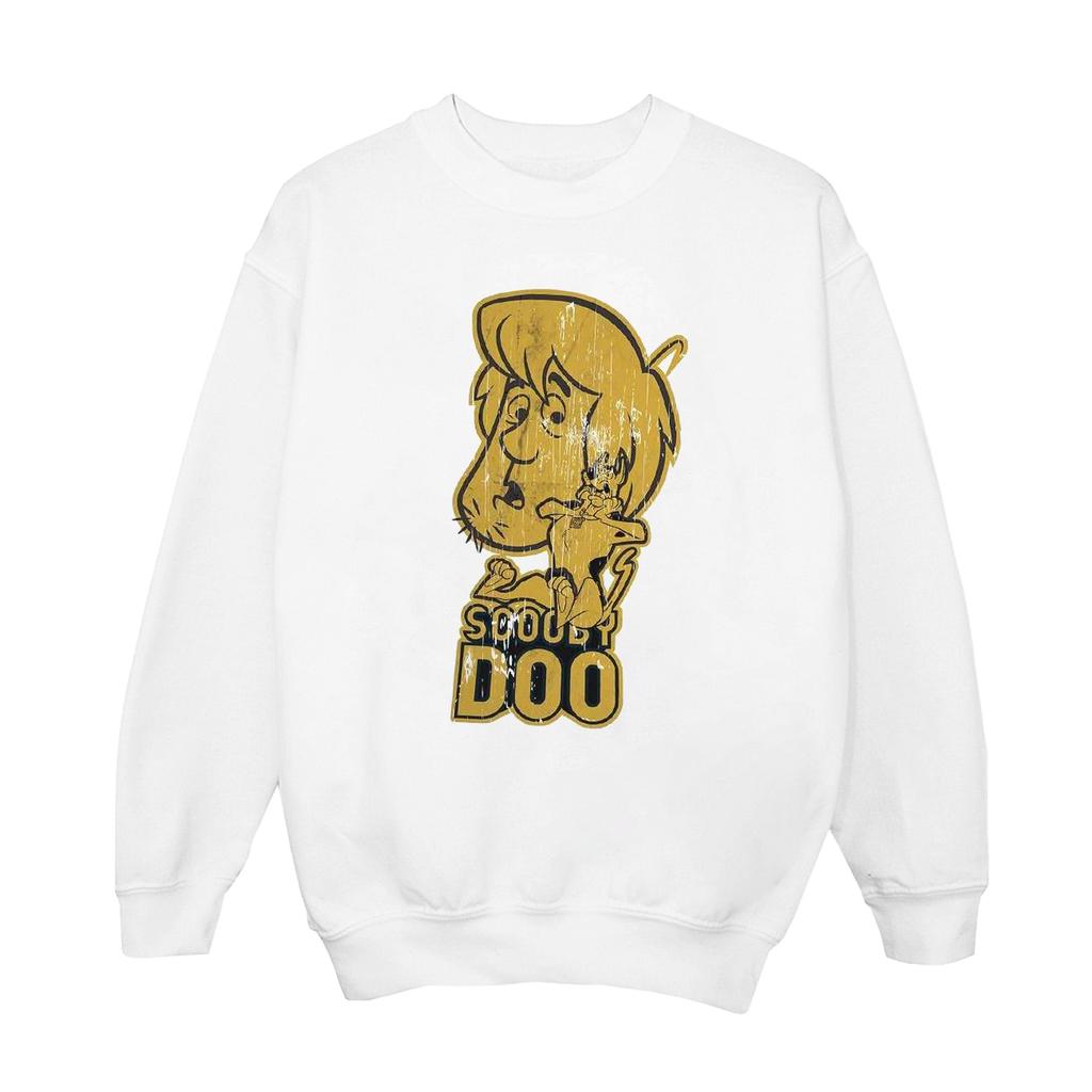 Scooby Doo Mens And Shaggy Sweatshirt