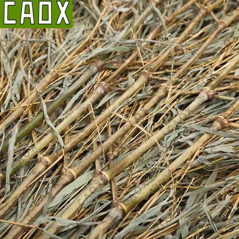 CAOX Прочная уличная щетка для уборки