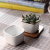 Amosfun Set of 3 Mini Ceramic Plant for and Baby Shower Simple Pots, White, Square, Tabletop, Succulents, Cacti, Herbs, Decorations. Design.