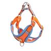 Augus Dog Harness, Anti-flip Chest Strap, Orange S
