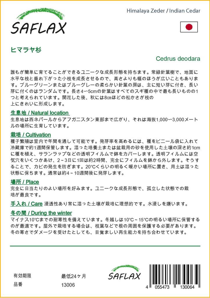 SAFLAX Кедр индийский - 35 семян - Cedrus deodara