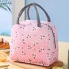 Cartoon Insulation Bags Large Capacity Cooler Lunch Bag Thickened Lunch Bag