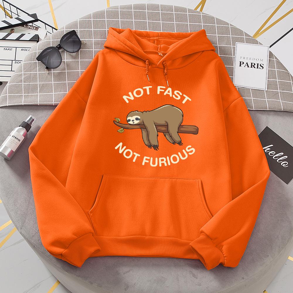 Not Fast Not Furious Sloth Sleeps Hanging From Branches Hoodies Women Novelty Fashion Hoody Loose Basic Hoodie Casual Warm Tops