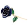 Real Dipped Blue Rose with Bracket Flower Decoration 24K Gold Plated Green Leaf Gift for Birthday