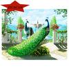 Diamond Embroidery Peacock 5D DIY Diamond Painting Cross Stitch Animal Pictures Rhinestone Diamond Mosaic