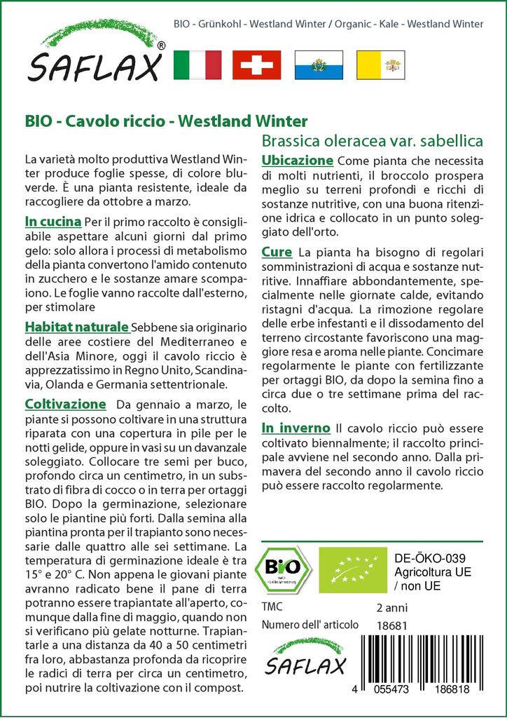 SAFLAX Organic - Капуста - Westland Winter - 70 семян - Brassica oleracea