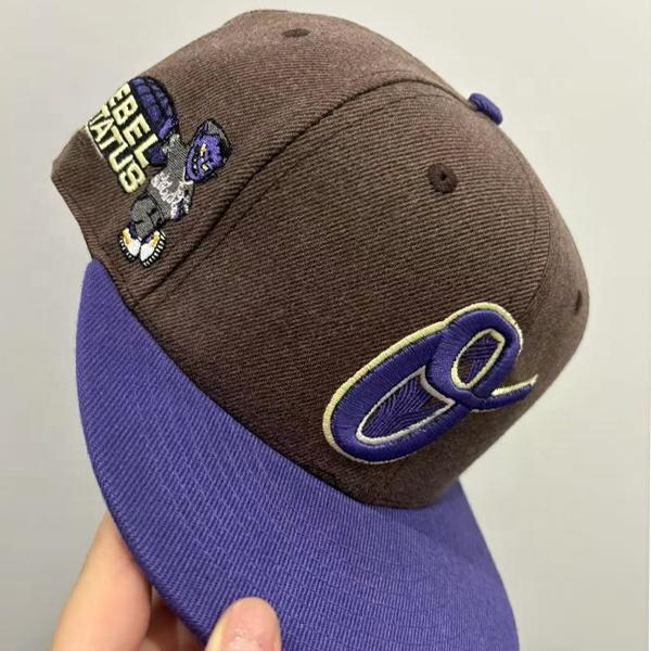 Manufacturers Brans High Quality Polyester Blank Custom Fitted Snapback Hat Baseball Caps Custom Embroidery logo