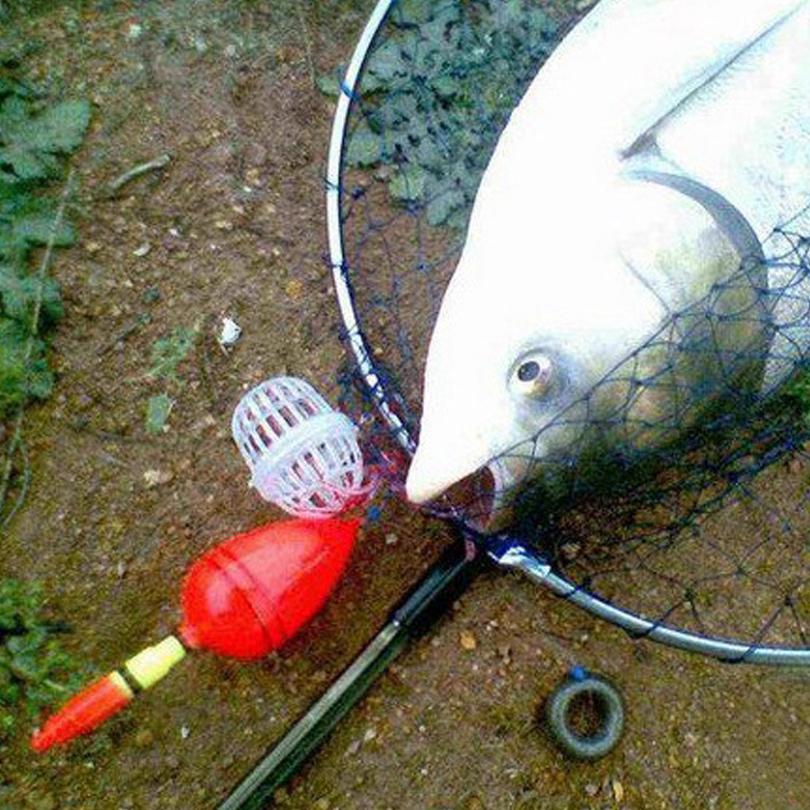 5 шт. поплавок для ловли рыбы на животе, поплавок-буй 8#, овальный, с жестким хвостом, пластиковый камень, поплавок для морской рыбалки, рыболовные снасти, аксессуары