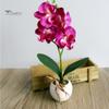 Искусственная Орхидея в горшке