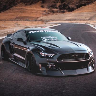 Совместимо с Ford Mustang 2015-2017: Расширители арок колес и спойлеры для широкого кузова Clinched.