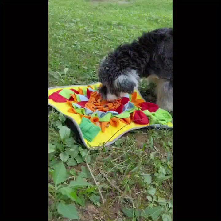 Новое поступление: Интерактивный коврик для нюханья домашних животных, который задействует обоняние и мозг вашей собаки!