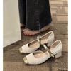 Mary Jane Shoes 2025 New Spring and Autumn Skirt High Heels Versatile French Fairy Gentle Single Shoes