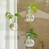 4pcs/set Self-Watering Plant Hydroponic Vase with Suction Cups Mini Flower Pot  Window