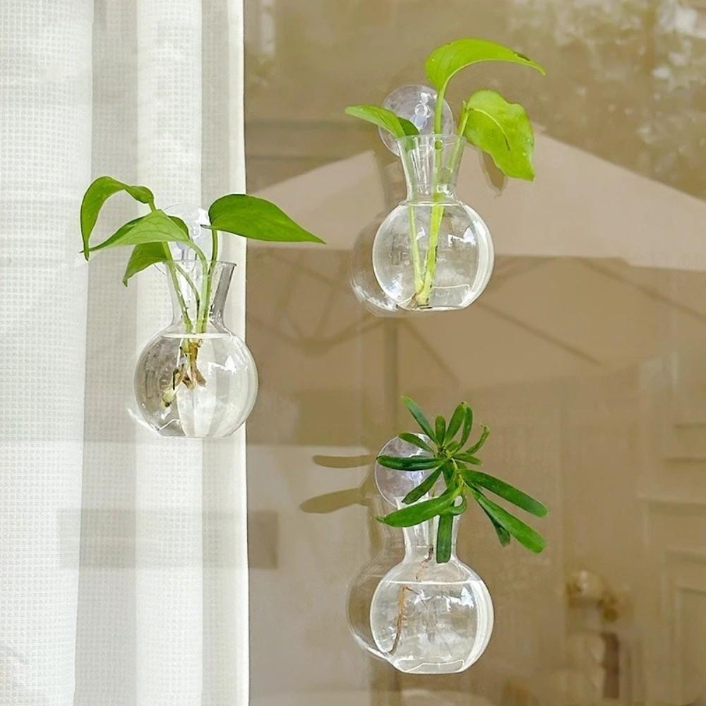 4pcs/set Self-Watering Plant Hydroponic Vase with Suction Cups Mini Flower Pot  Window