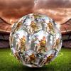 Horizon Theme Size 5 Soccer Ball, Suitable for Both Indoor and Outdoor Matches, a Gift Suitable for Everyone.