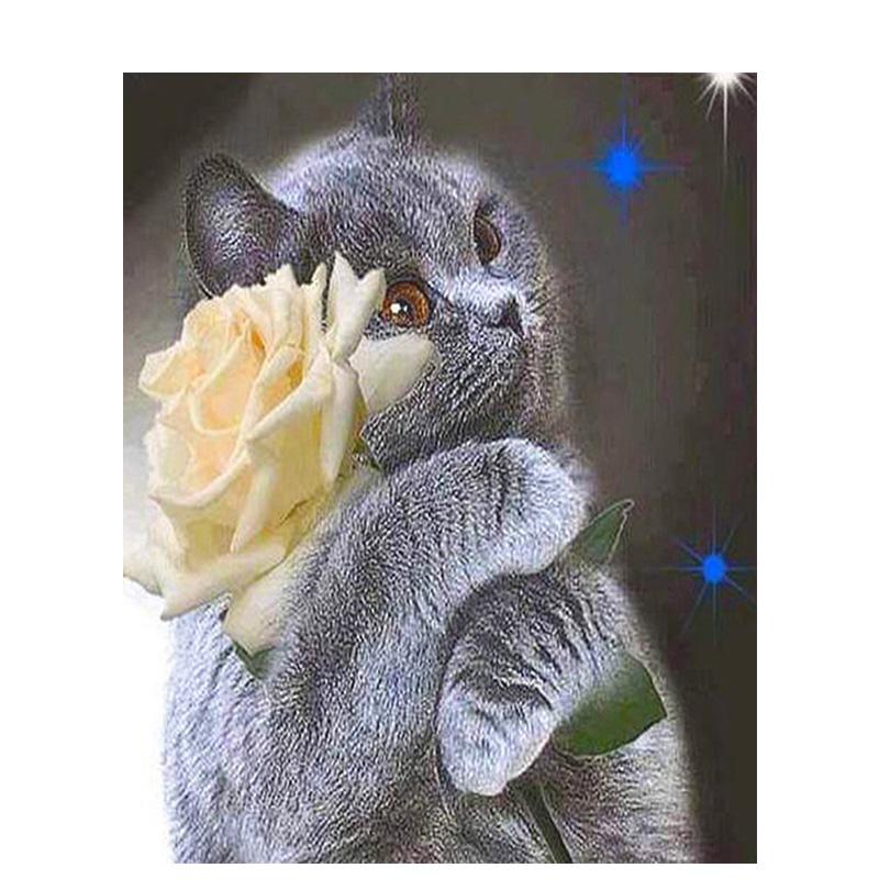 5D Diy Алмазная вышивка животное полная круглая алмазная живопись кошка Алмазная мозаика вышивка крестом подарок ручной работы