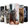 Чехол для телефона с британским короткошерстным котом для Samsung Galaxy A55 A54 A53 A52 A15 A14 A13 A12 A35 A34 A33 A32 A25 A24 A23 A22 A04S A03S A0