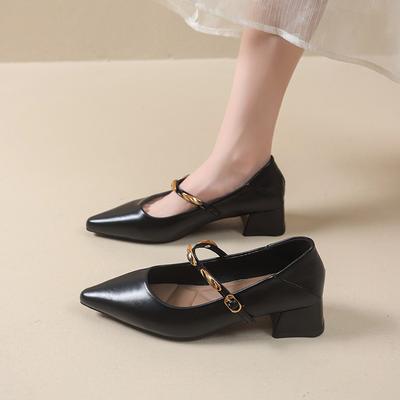 Мода Новые Женские Дизайнерские Винтажные Туфли Мэри Джейн с Острым Носком Модные Туфли с Мелкой Застежкой Элегантные Женские Туфли на Толстом Каблуке для Платья