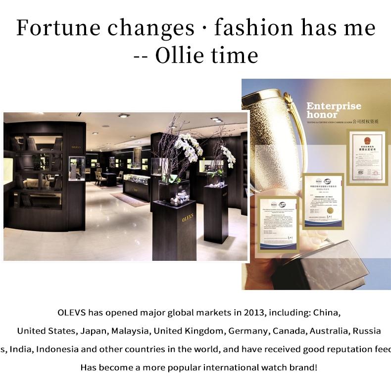 OLEVS Brand Watches Automatic Mechanical Watch Small Students Casual Couple Watch Men's Watch Women's Watch