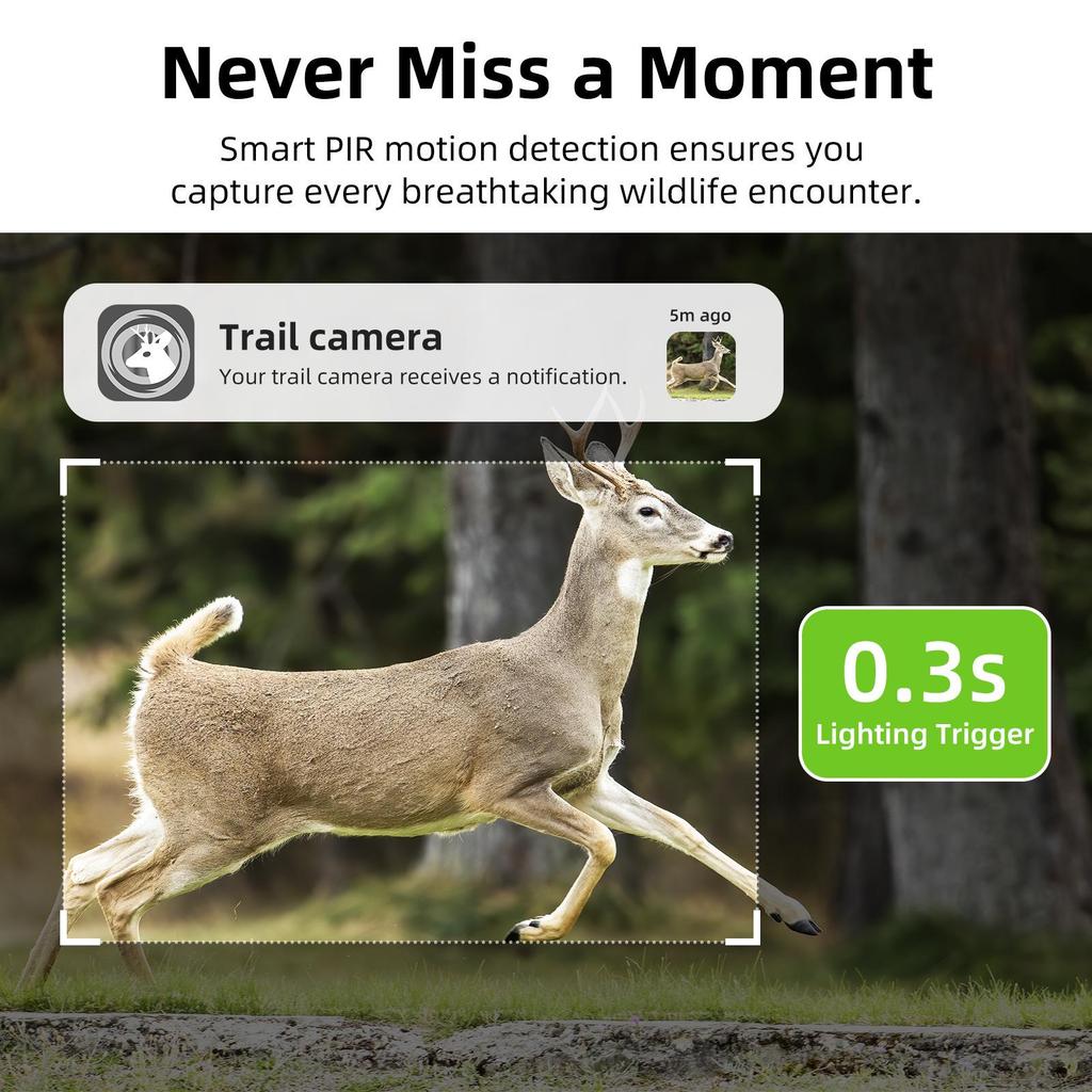 F8 4G Солнечная HD Инфракрасная Ночная Видимость Датчик PIR Камера Дикой Природы