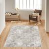 Washable Printed Carpet RVGHOME1593