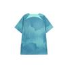 Nike Футболка Dri-Fit Academy Pro Retro Stripe Quick-Dry Training с коротким рукавом, мужская, изумрудно-зеленая FB6577-349