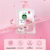 Dettol Moisturizing Peach Blossom Hand Wash Twin Pack