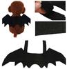 Nordic-Style Felt Bat Wings Pet Costume - Halloween Toy with Double Wings