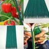Garden Plant Stakes Green Bamboo Sticks,Sturdy Flower Plant Support Stakes Wood,Bamboo Sign Poster Garden Sticks(50pcs,40cm)