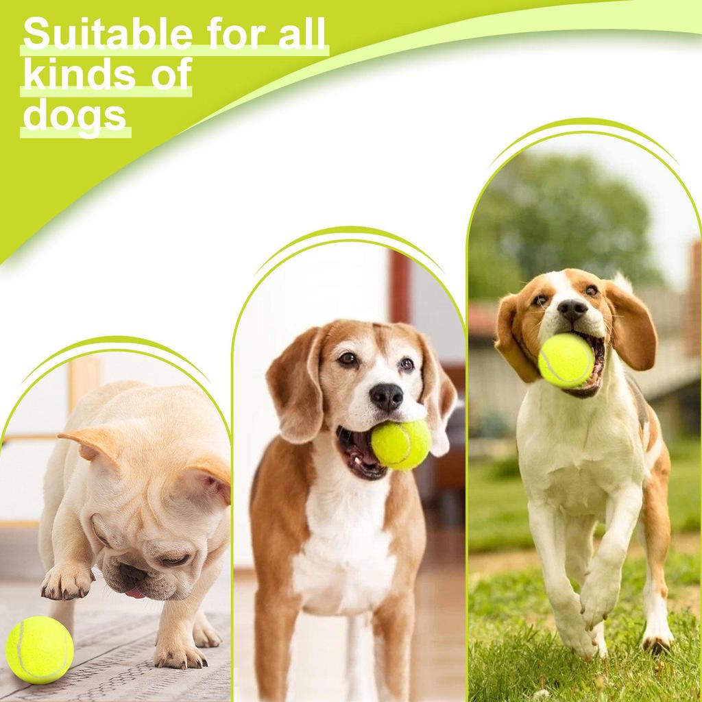 Automatic Dog Ball Launcher for Border Collies - Tennis Ball Throwing and Bouncing Toy