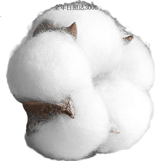 XUEXIMAN Men's Socks, 10 Pairs, Spring And Summer Xinjiang Cotton, Mid-Calf Business Anti-Odor Socks, Sweat-Absorbing Breathable Long Socks for Me