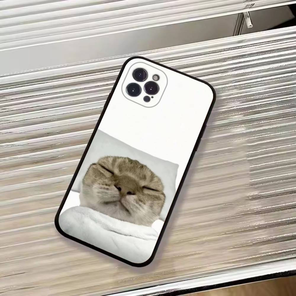 F-Смешной Животное Кот Чехол для Телефона Силиконовый Мягкий Для IPhone 17 16 15 14 13 12 11 X XR Plus Pro Max Plus