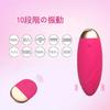 Types of Seismic Pleasure 10m Remote Rotor Remote Control Vibrator Remote Control Wireless Egg Shape Spot Waterproof Quiet USB Rechargeable Jump