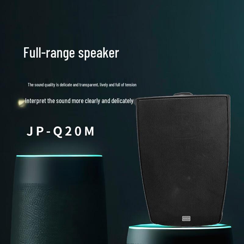 FionTu JP-Q20M Профессиональный полнодиапазонный громкоговоритель для конференций (Китайская версия)