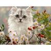 Diamond Painting "White Kittens" Cross Stitch Rhinestone Embroidery Home Decor Gift Daisy Flower