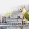 Stainless Steel Parrot Steel Mesh Platform Wear Resistant Parrot Resting Springboard  for Bird Cage