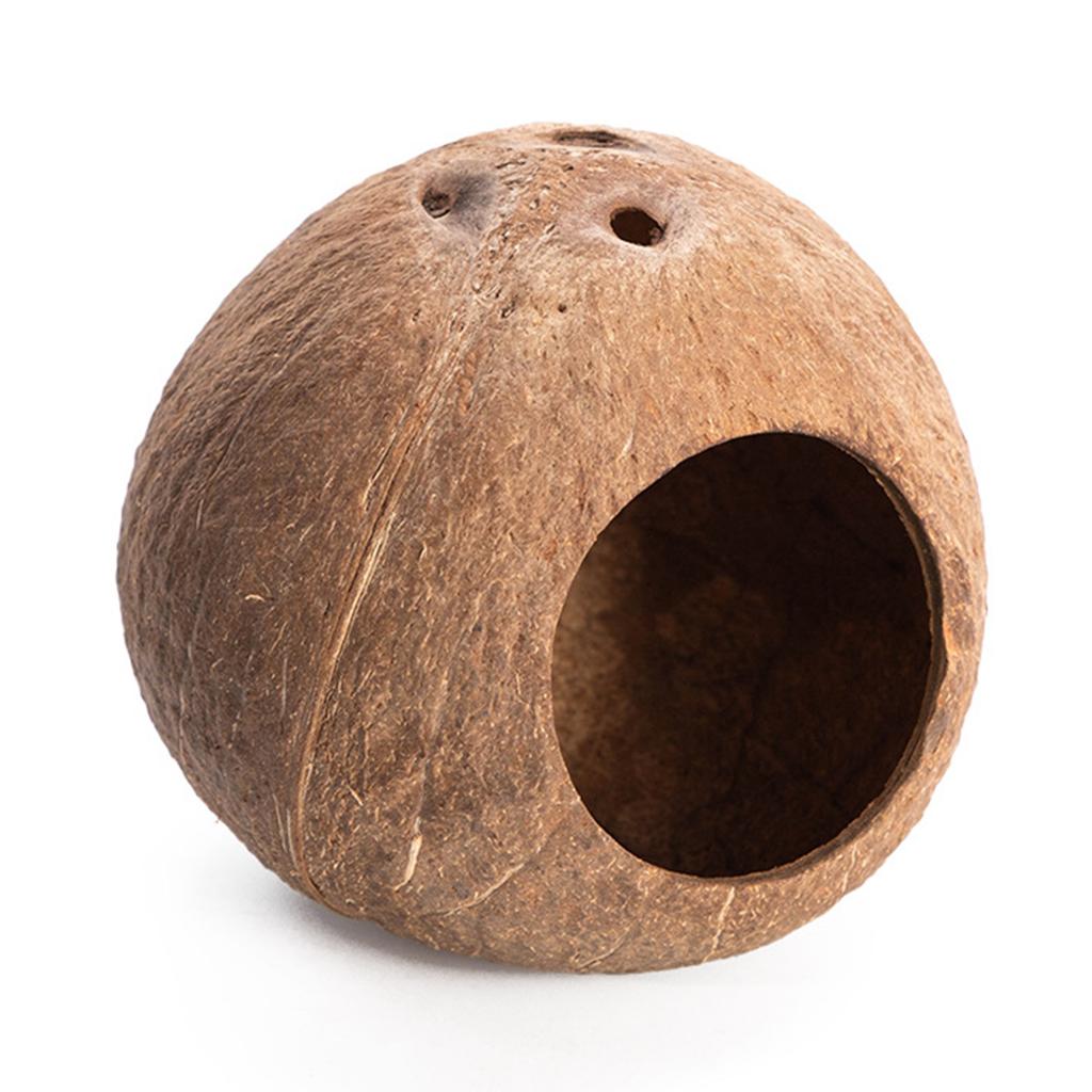 Домик для хомяка Лестница для восхождения Кокосовые убежища Гнездо Место обитания Декорации для Мини Песчанок Золотые Медведи Морские Свинки Маленький питомец