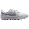 Nike ASTRO GRABBER Повседневная обувь Женская Белый Синий IM9990-100