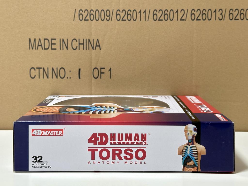 4D Human Torso Anatomy Model (626003) by Fame Master, a 4D master educational STEM puzzle.