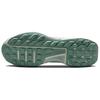 Nike Тропа Можжевельника 3 Нефритовый Горизонт Двухбережный Красная Звездная Пыль Бледно-Слоновая Кость FQ0904-300