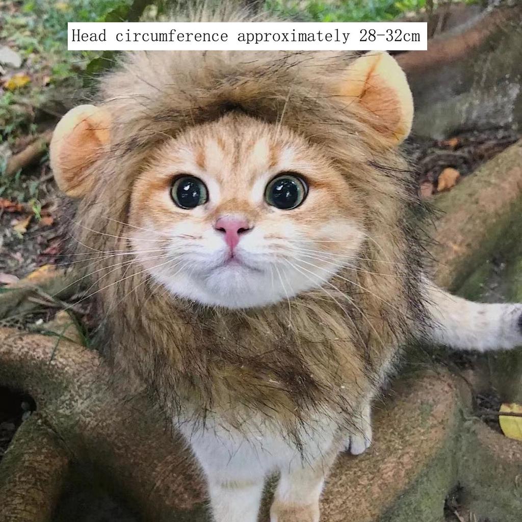 Милая кошачья шапка, забавный Хэллоуин, косплей, лев, шарф, парик для маленьких собак, кошек, котят, щенков, головной убор, мопс, креативная одежда, аксессуары
