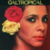 Gal Costa Gal Tropical Limited Edition
