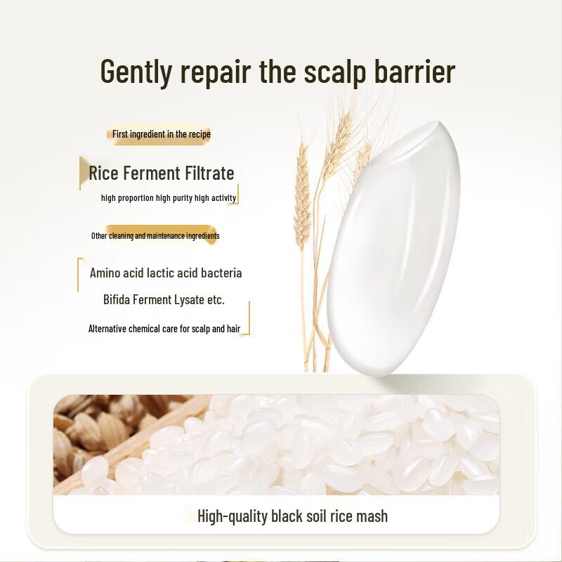 Light Fragrance Rice Ferment Anti-Dandruff Shampoo