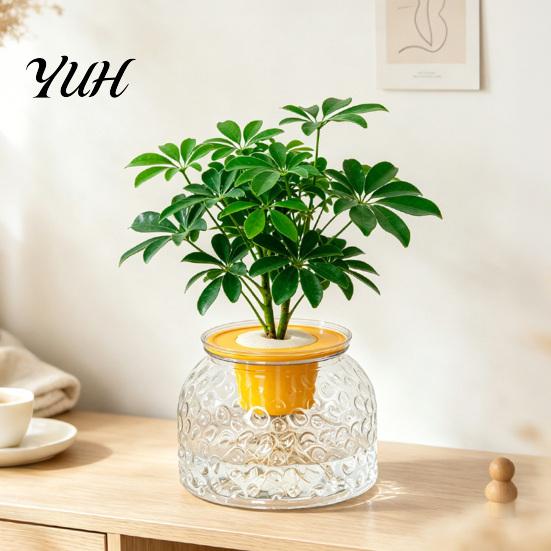 Clear Plastic Planter Hammered Texture Hydroponic Vase, Modern Style Plant Indoor Green Holder Container, Decorative Planting for Home And Office